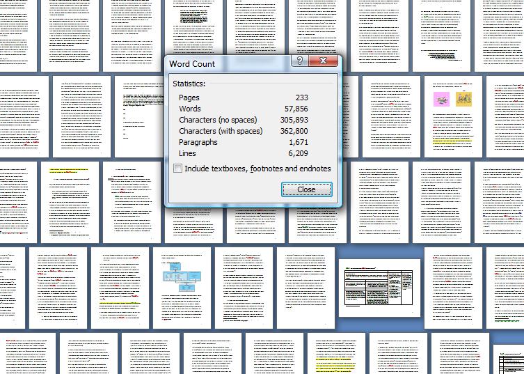 Screenshot of word count of the thesis